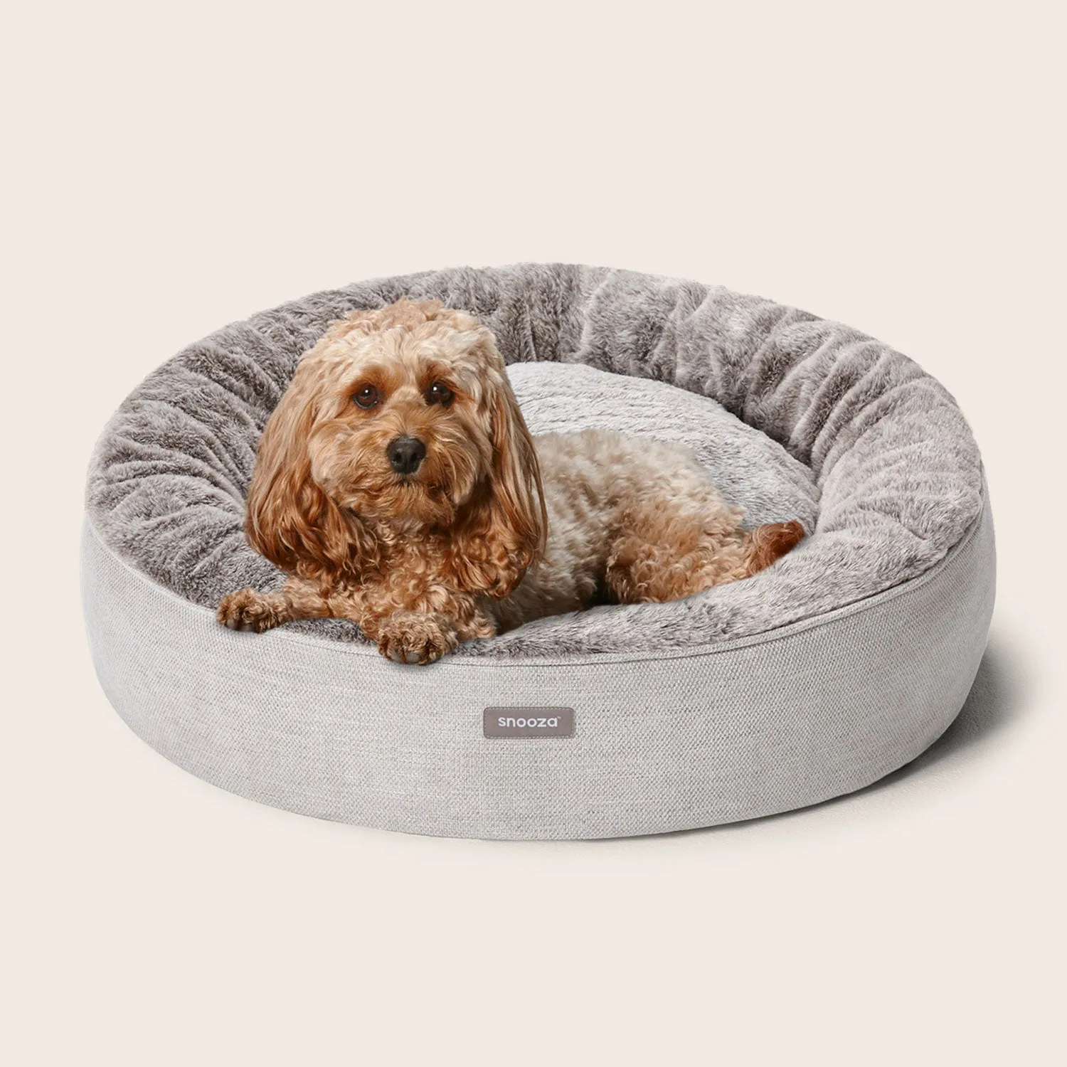 Cuddler Dog Bed in Cashmere